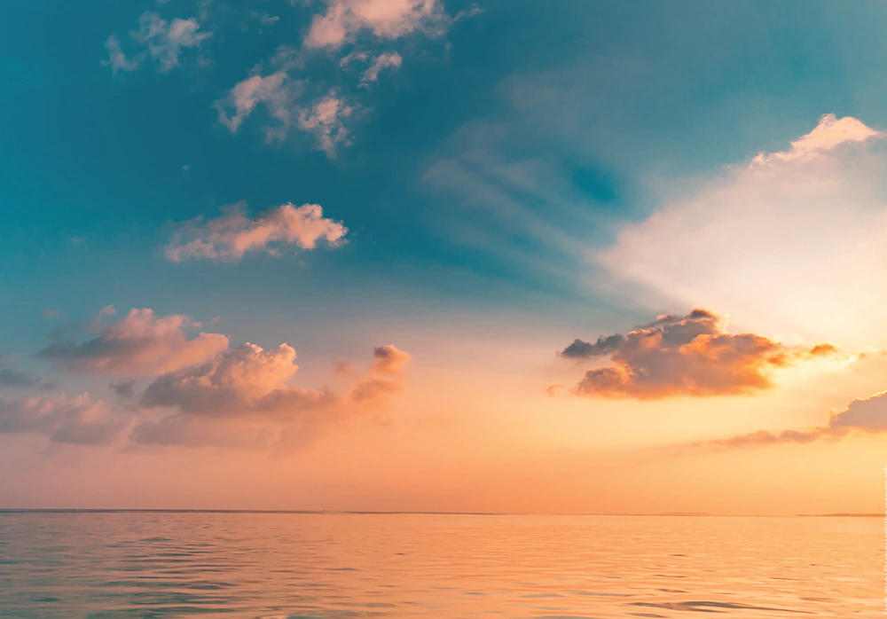 Sunset View